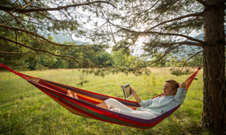 Lectures d’été : des nouveaux E-books à découvrir sur VousNousIls !