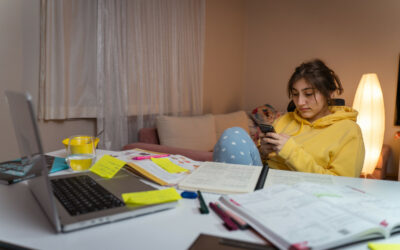 Stage de seconde : « 50 à 75% des élèves […] seraient sans solutions »