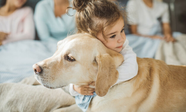 L’éthique animale sera au programme d’EMC du CP pour la rentrée 2024