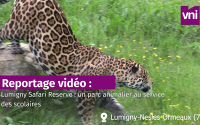 Lumigny Safari Reserve : un parc animalier au service des scolaires