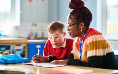 Comité National de Suivi de l’École Inclusive : ni AESH, ni profs