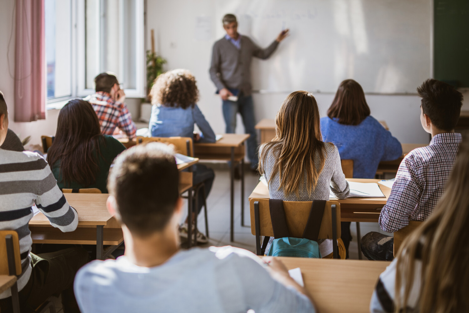 Maths et SES : les enseignements de spécialité les plus choisis en terminale en 2024 Back view of large group of high school students on a class in the classroom.
