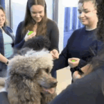 Une séance de médiation animale à la Sorbonne