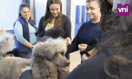 Une séance de médiation animale à Sorbonne Université