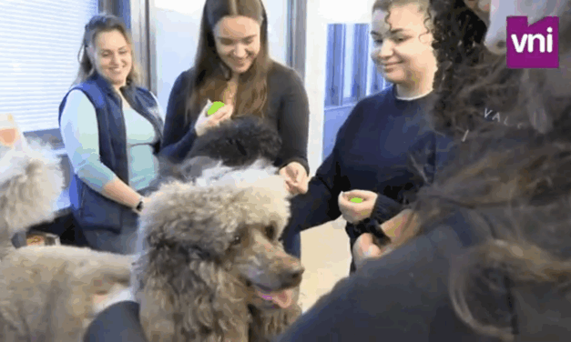 Une séance de médiation animale à Sorbonne Université