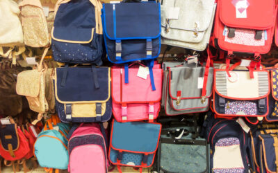 « 43 000 directeurs d’école pour vérifier les sacs de millions d’élèves chaque matin ? »