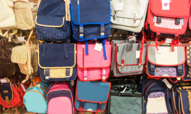 « 43 000 directeurs d&rsquo;école pour vérifier les sacs de millions d’élèves chaque matin ? »