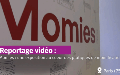 [Vidéo] Momies : plongée dans une expo pédagogique fascinante au Musée de l’Homme