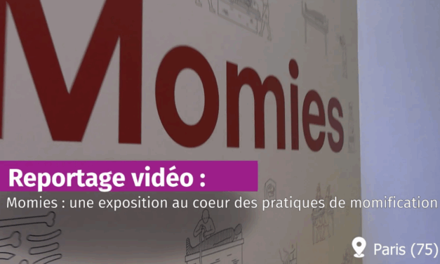 [Vidéo] Momies : plongée dans une expo pédagogique fascinante au Musée de l’Homme