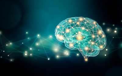 Neuroplanète : le festival des sciences du cerveau 2026 désormais en replay