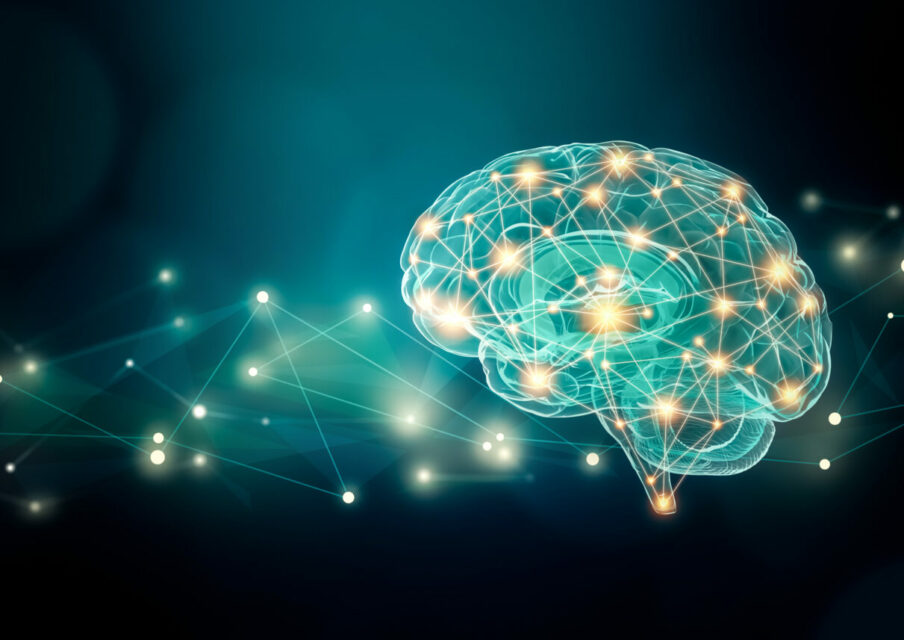 Neuroplanète : le festival des sciences du cerveau de retour pour une 11e édition