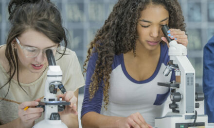 Les classes à horaires aménagés en maths et sciences généralisées à la rentrée 2026