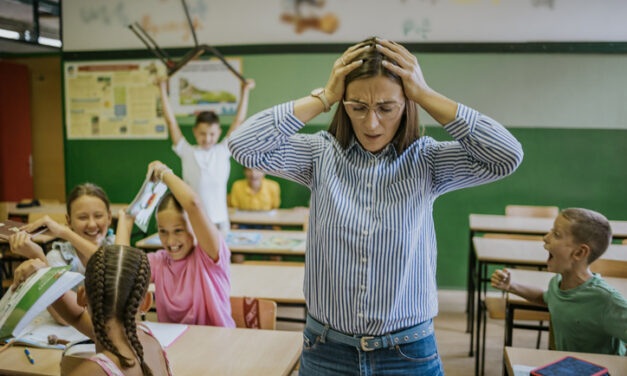 Enseignants mordus, griffés… : le SNUipp tire la sonnette d&rsquo;alarme
