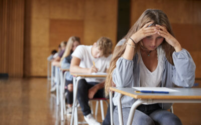 Bac 2026 : 85,5 % de réussite avant rattrapage
