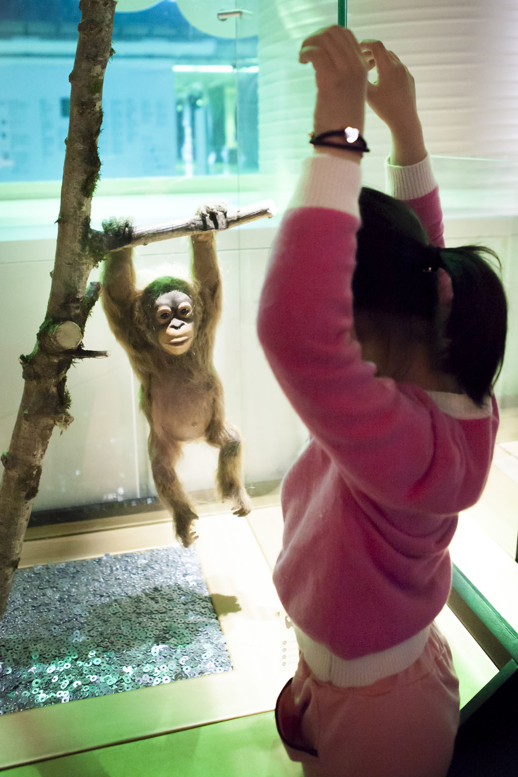 Bebes Animaux L Expo Pedagogique Et Ludique Des Vacances Vousnousils
